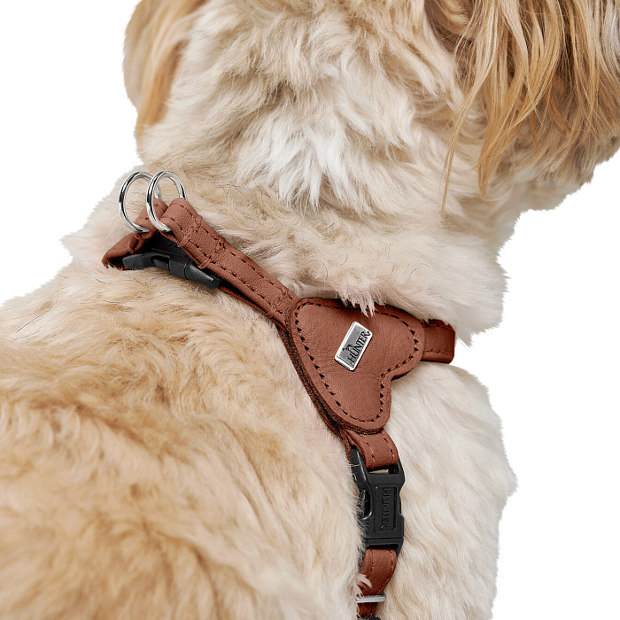 Hunter шлейка для собак Soho Mini XXS-XS (26-31 см), натуральная кожа, коричневая
