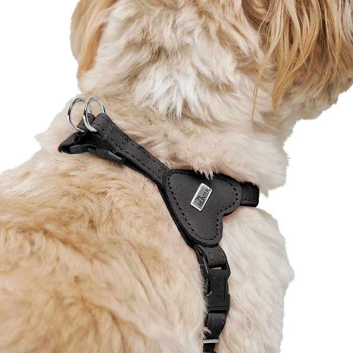 Hunter шлейка для собак Soho Mini XXS-XS (28-34 см), натуральная кожа, черная