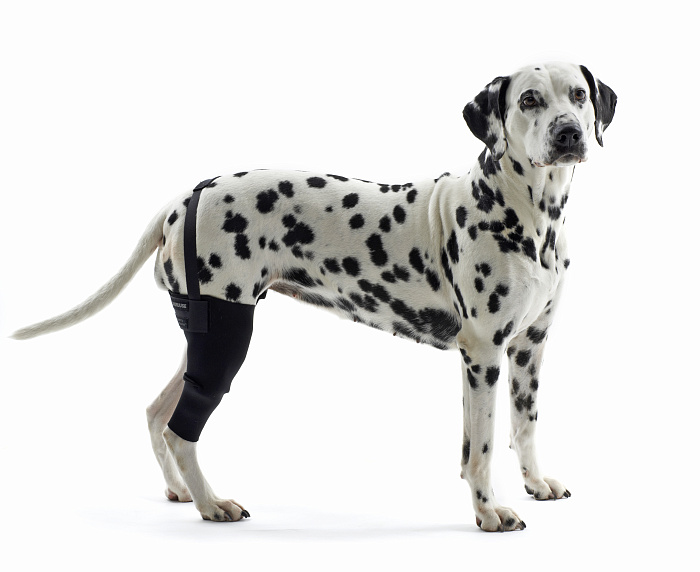 KRUUSE (из наличия) Rehab протектор на левое колено M СКИДКА 80%