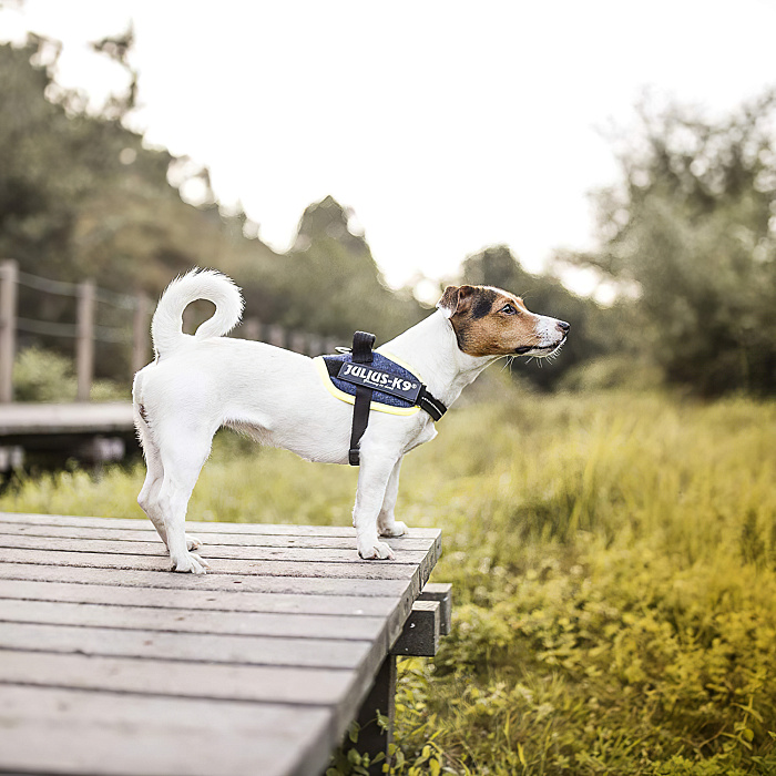 JULIUS-K9 шлейка для собак IDC®-Powerharness XS/Mini-Mini (40-53см/ 4-7кг), джинса-зеленый неон СКИДКА 50%