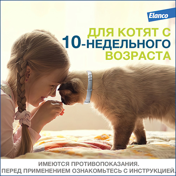 Bayer Форесто ошейник от клещей и блох для кошек 38 см