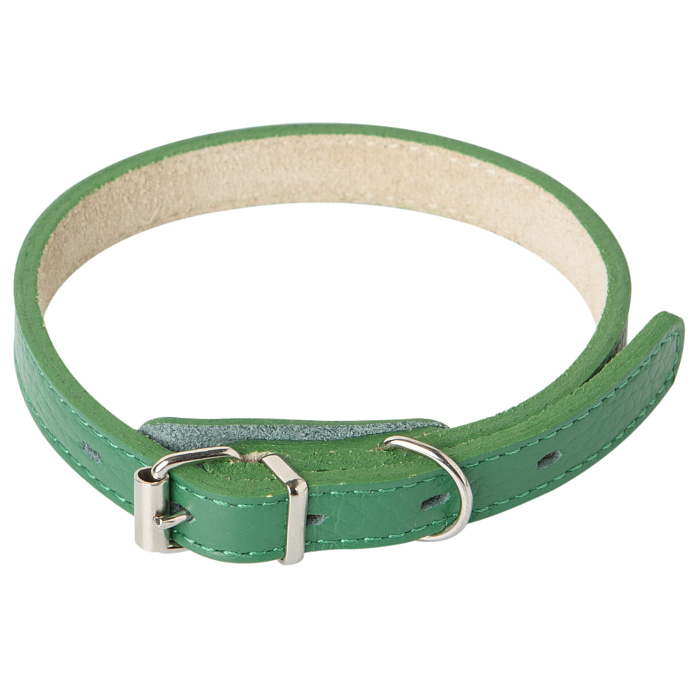 Ошейник Mr.Kranch для собак из натуральной кожи прямой 39-50см зеленый СКИДКА 40%