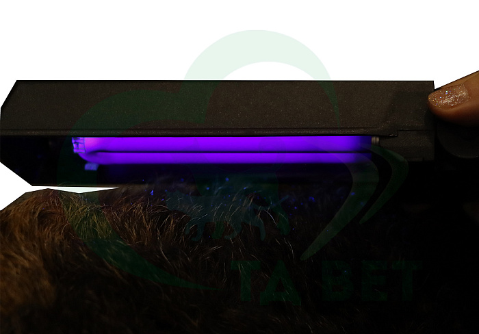 ТД ВЕТ Осветитель люминесцентный диагностический NEXT (Лампа Вуда)