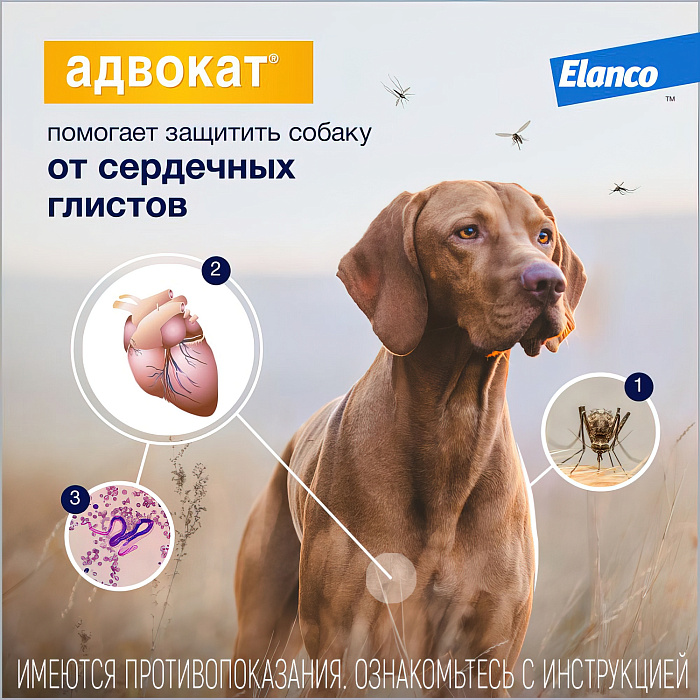 Bayer Адвокат 250 капли для собак 10-25 кг от чесоточных клещей, блох и гельминтов (3 пипетки х 2,5 мл)
