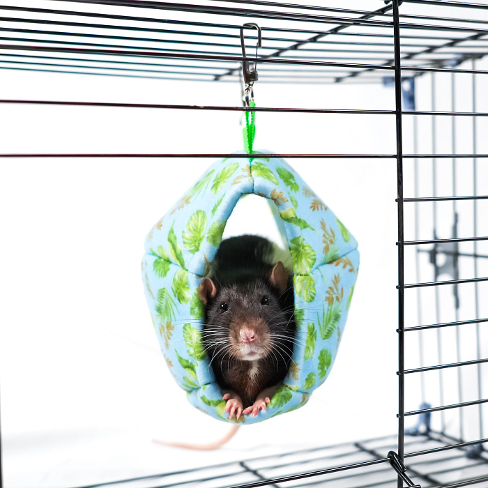 Гамак подвесной из фетра Bambini Pets "Мяч регби" для грызунов и хорьков 18*13*13 см