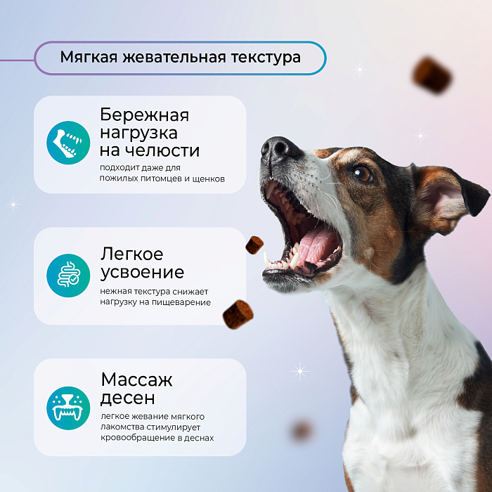 Favet Функциональное лакомство FerrumActive Soft Chews для иммунитета для собак, 120г