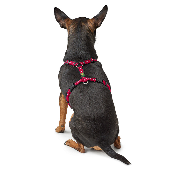 Hunter шлейка для собак Tripoli XXS-XS (32-44 см), нейлон малиновая, светоотражающая