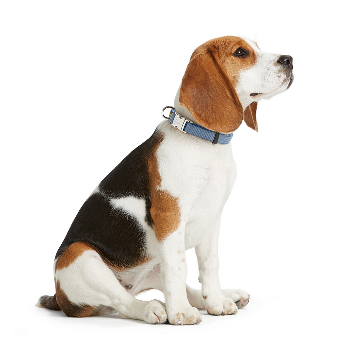 Hunter ошейник для собак ALU-Strong Vario Basic XL (45-65 см), нейлон с металлической застежкой, голубой