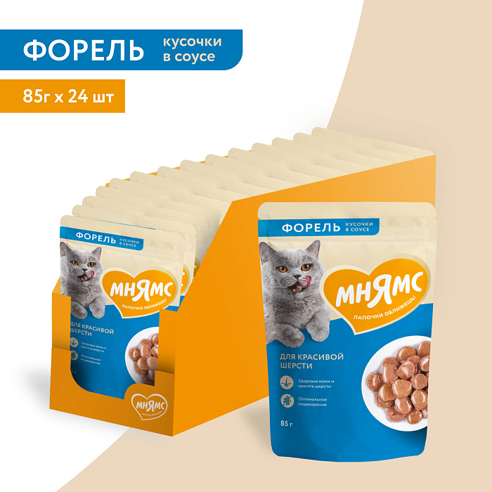 Влажный корм Мнямс На каждый день Кусочки в соусе с форелью для красивой шерсти кошек 85 г