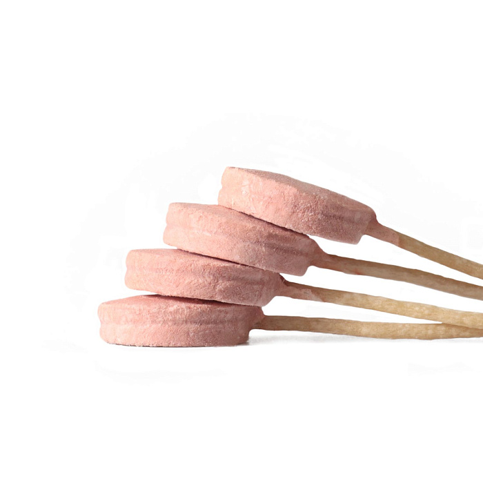 Лакомство Ranova для собак CN сублимированное на палочке с клюквой, 8 г х 6 шт