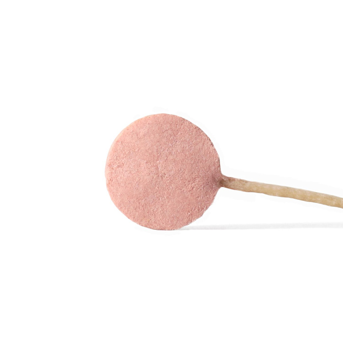 Лакомство Ranova для собак CN сублимированное на палочке с клюквой, 8 г х 6 шт