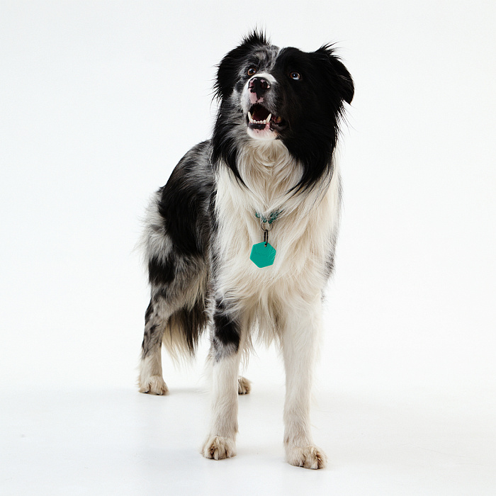 Умный трекер Kaspersky Tag с силиконовым чехлом