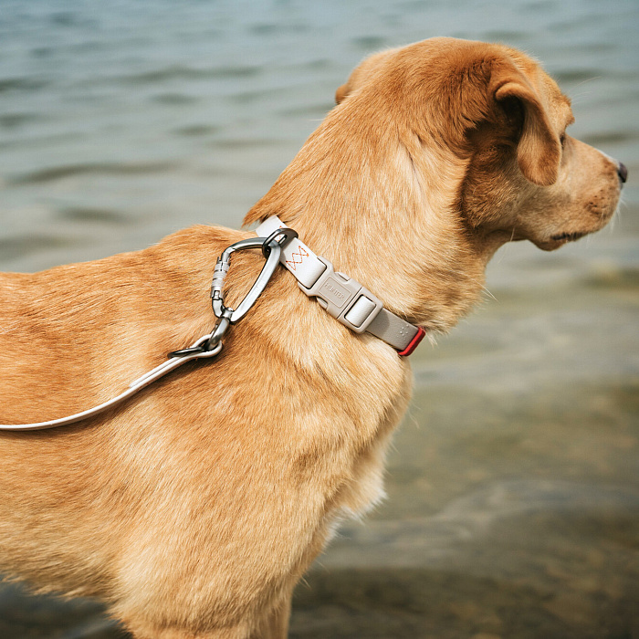 Hunter ошейник для собак Havanna L (40-55 см), биотановый, бежевый