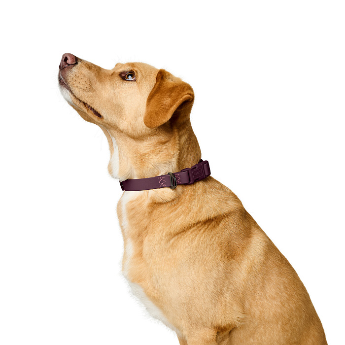 Hunter ошейник для собак Havanna L (40-55 см), биотановый, бордовый