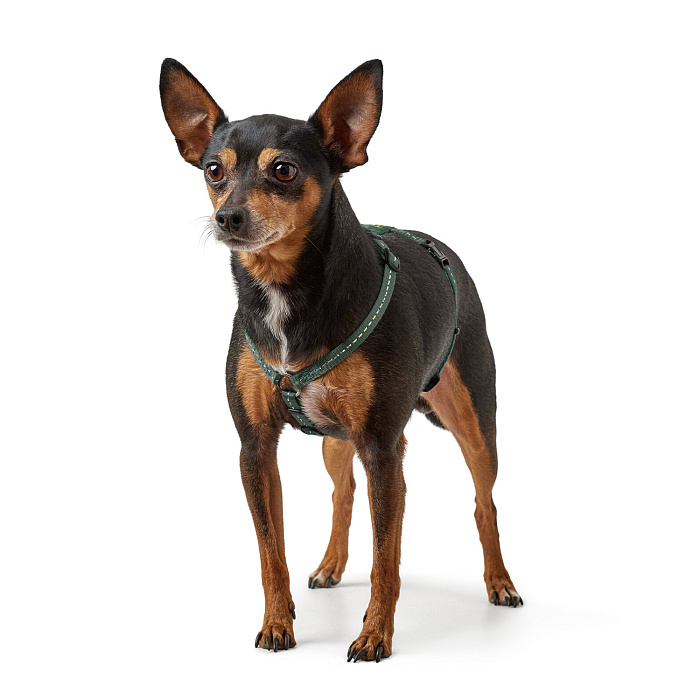 Hunter шлейка для собак Tripoli S (41-55 см), нейлон оливковая, светоотражающая