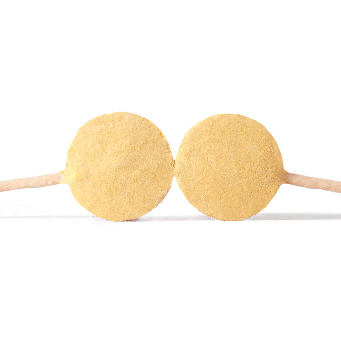 Лакомство Ranova для собак CN сублимированное на палочке с тыквой, 8 г х 6 шт