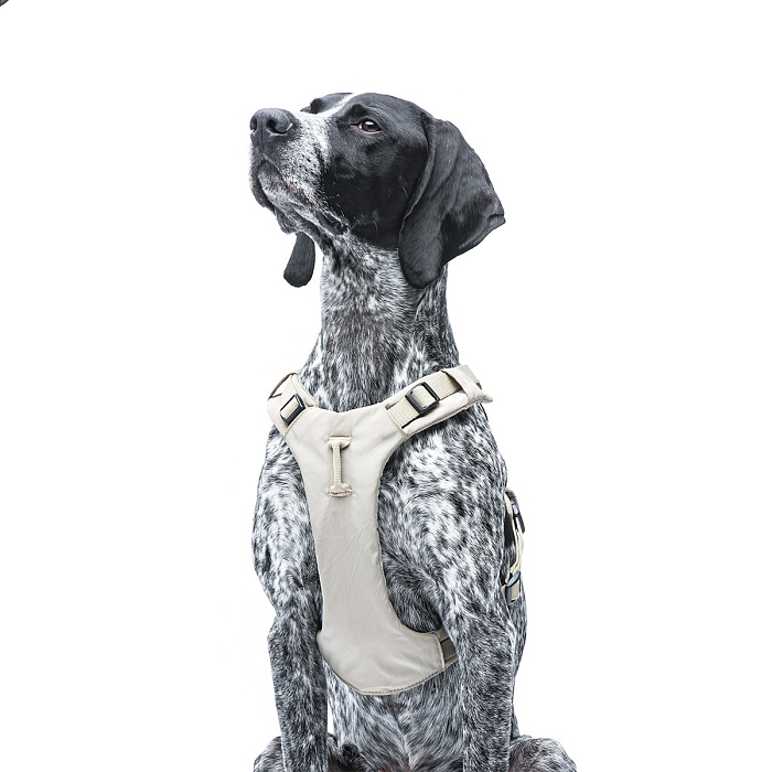 Шлейка United Pets для собак Citylife Y-образная XS 15 x 38-48, бежевый