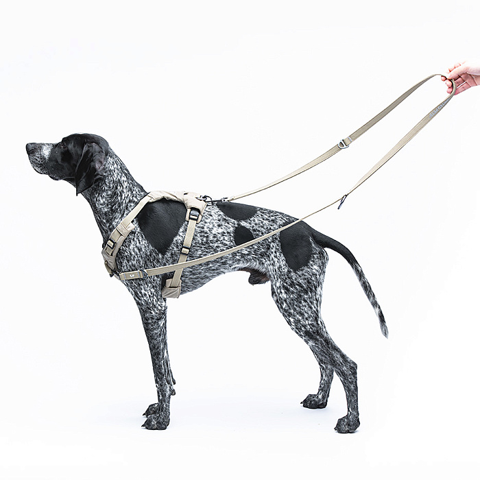 Шлейка United Pets для собак Citylife Y-образная XS 15 x 38-48, бежевый