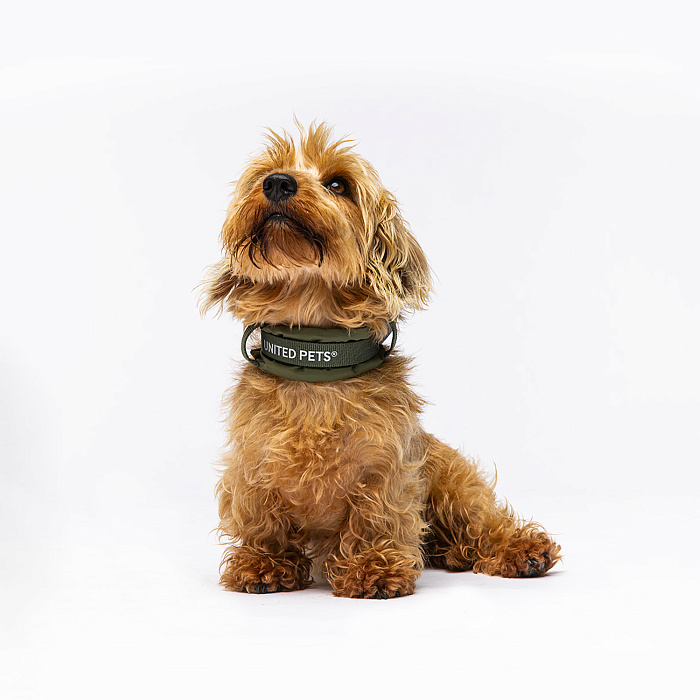 Ошейник United Pets с мягкой подкладкой для собак Citylife S 15 x 30-40 см хаки