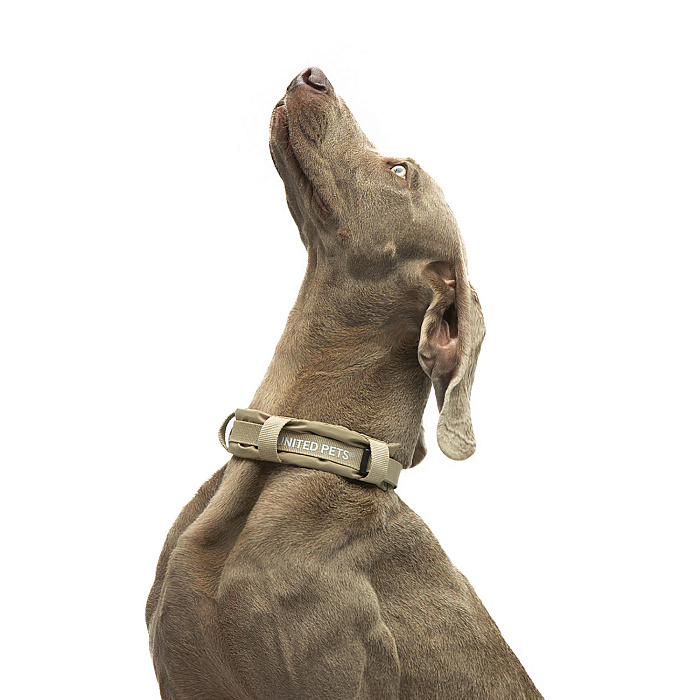 Ошейник United Pets с мягкой подкладкой для собак Citylife L 25 x 40-60 см бежевый