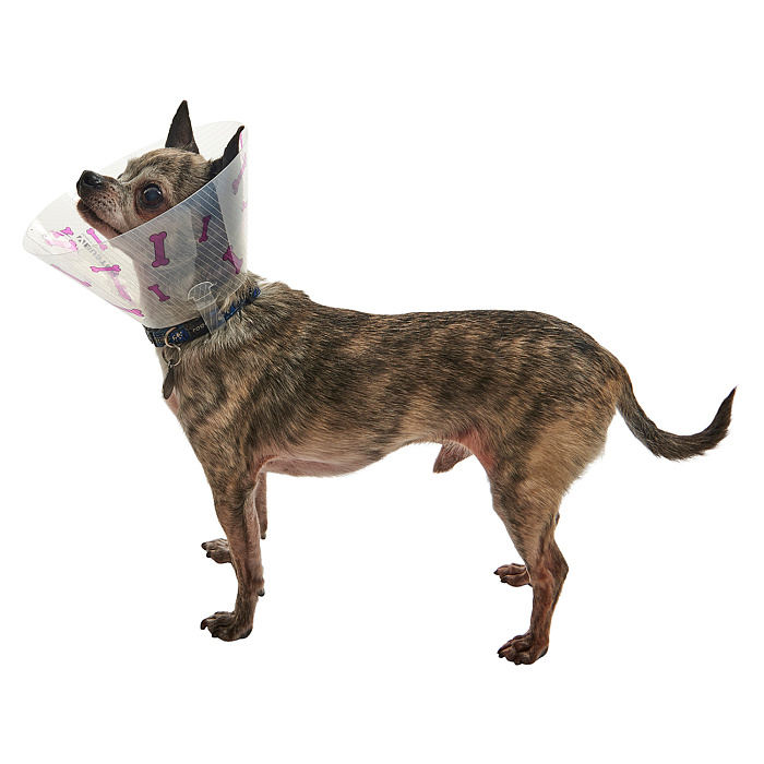 KRUUSE (из наличия) Воротник с дизайном (фиолетовые кости) 10 см СКИДКА 80%