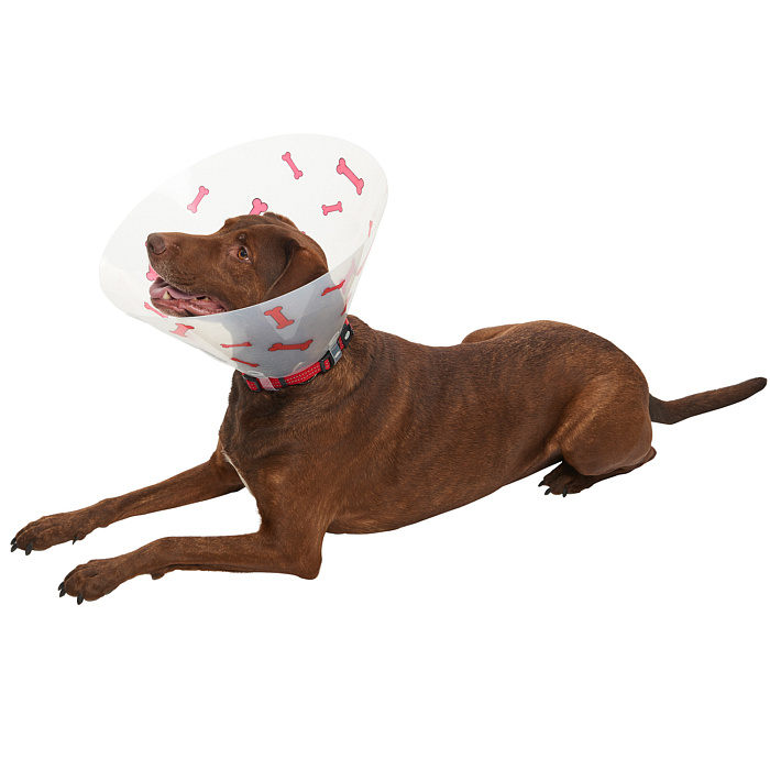 KRUUSE (из наличия) Воротник с дизайном (красные кости) 25 см СКИДКА 80%