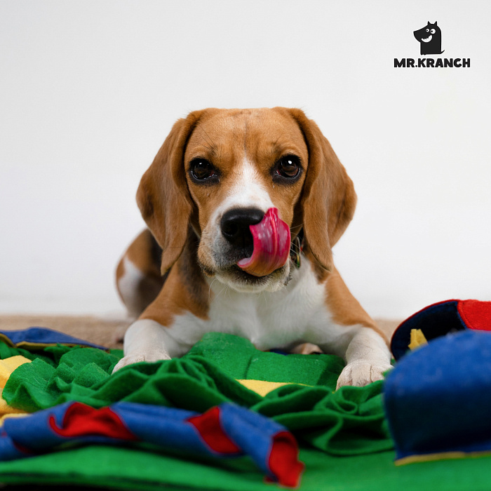 Нюхательный коврик Mr.Kranch Бейсбольный матч размер 50x70см СКИДКА 50%