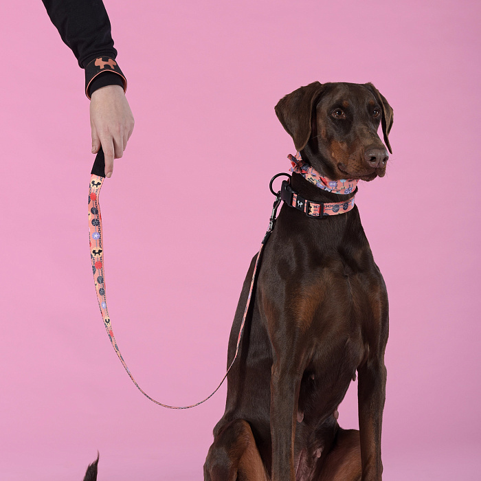 Поводок United Pets для собак Complete me Forever 120 см, 25 мм, оранжевый с рисунком