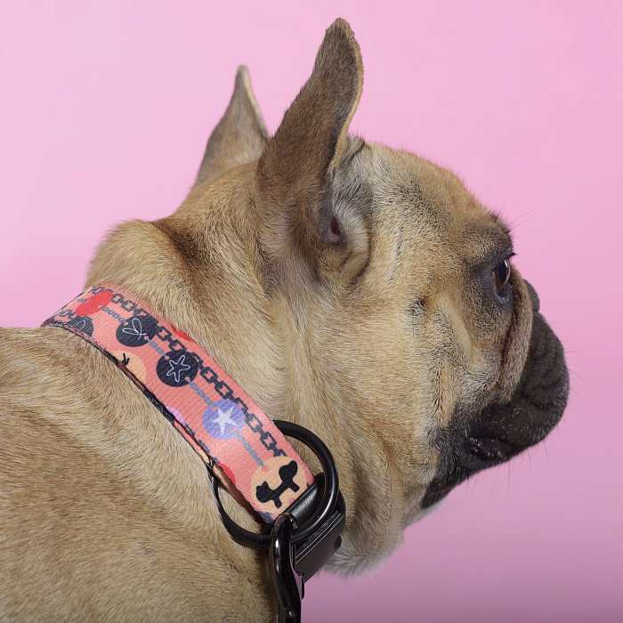 Ошейник United Pets для собак Complete me Forever L 43-73/2,5 см, оранжевый с рисунком