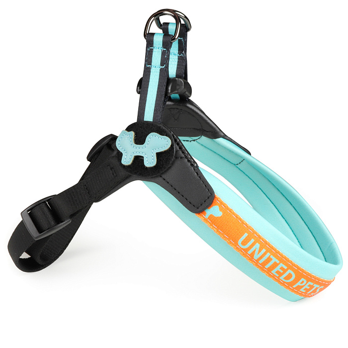 Шлейка United Pets для собак Complete me 1,5 x 34-42 см, голубая с оранжевым