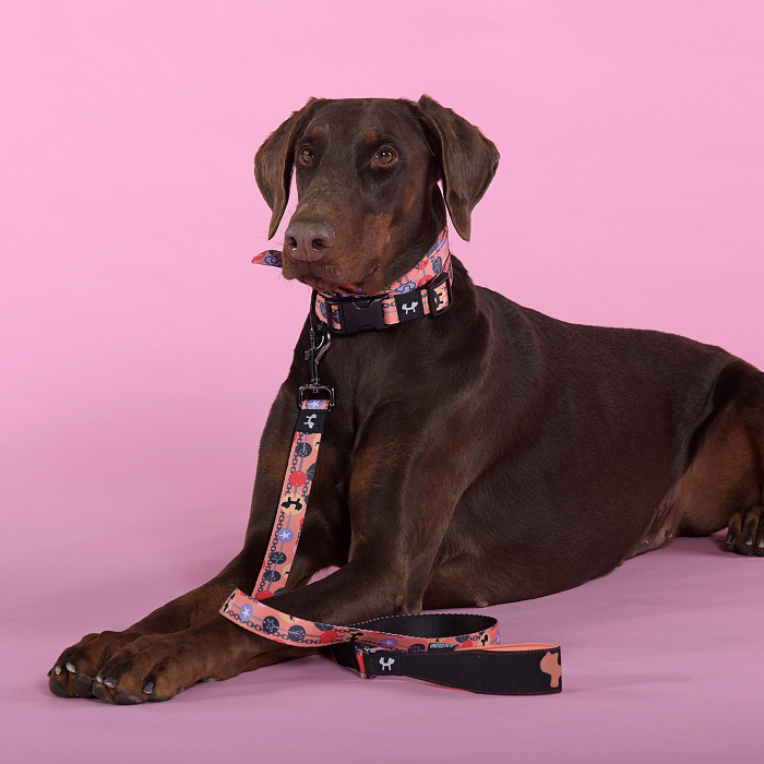 Поводок United Pets для собак Complete me Forever 140 см, 16 мм, оранжевый с рисунком