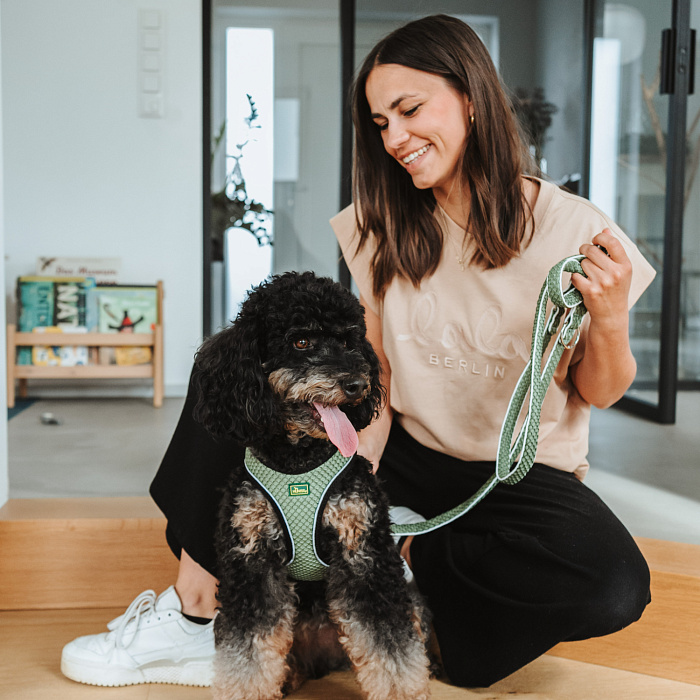 Hunter шлейка для собак Hilo Comfort 31-33 см, сетчатый текстиль, оливковая СКИДКА 40%