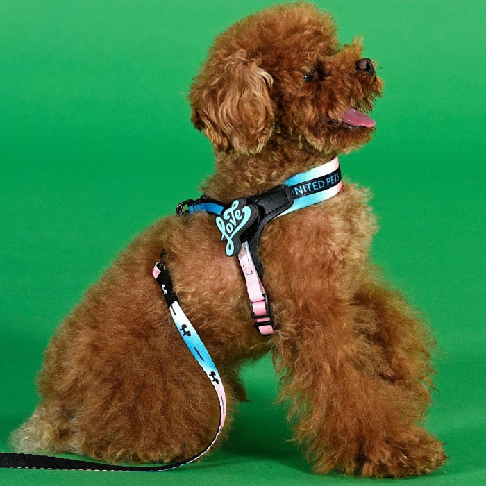 Шлейка United Pets для собак Complete me 3.5 - XL 48-64, розово-голубой тай-дай