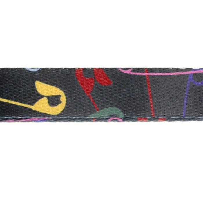 Поводок United Pets для собак Complete me 16 x 1400 mm, черный с разноцветными булавками