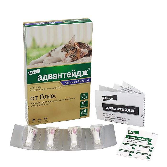 Bayer Адвантейдж 80 К для кошек больше 4 кг от блох (4 пипетки х 0,8 мл)