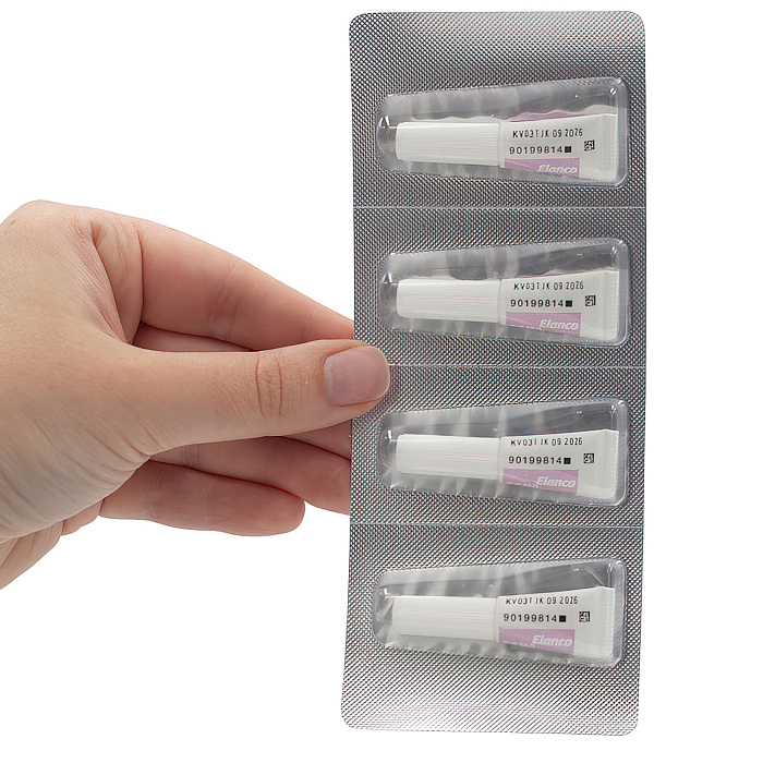 Bayer Адвантейдж 80 К для кошек больше 4 кг от блох (4 пипетки х 0,8 мл)