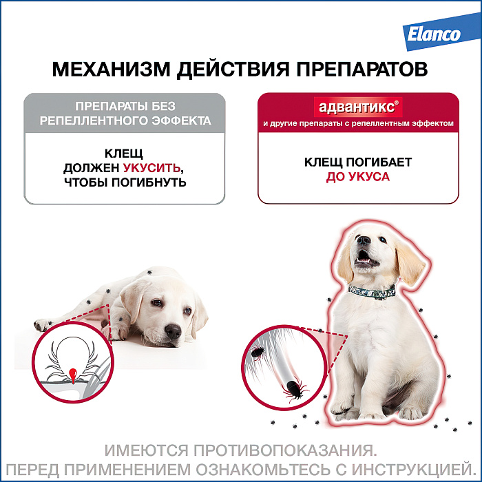 Bayer Адвантикс 100 С для собак 4-10 кг от блох, клещей и комаров (4 пипетки х 1 мл)