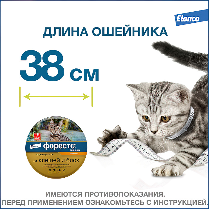 Bayer Форесто ошейник от клещей и блох для кошек 38 см