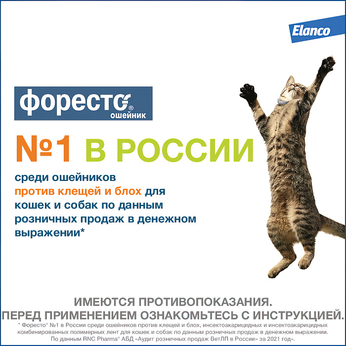 Bayer Форесто ошейник от клещей и блох для кошек 38 см