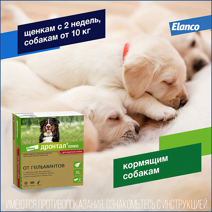 Bayer Дронтал плюс XL таблетки со вкусом мяса от гельминтов для собак крупных пород 2 таб. (1 таб. на 35 кг)
