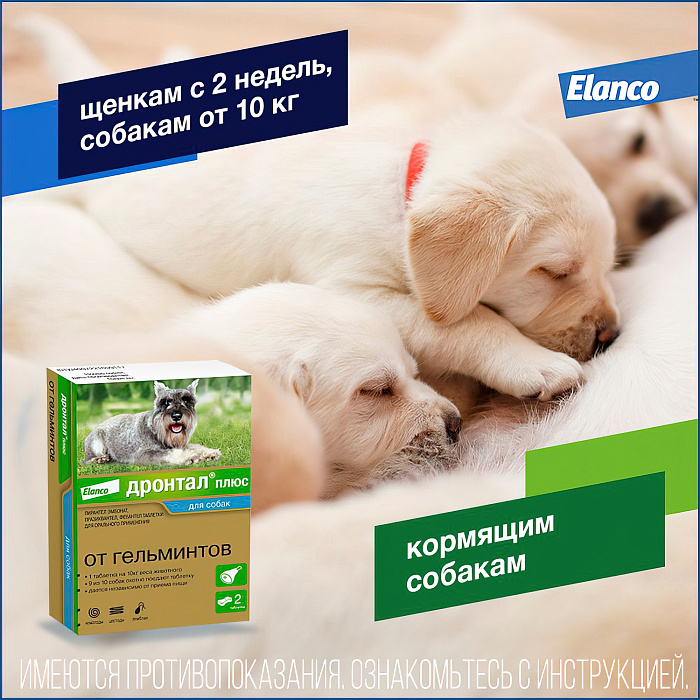Bayer Дронтал плюс таблетки со вкусом мяса от гельминтов для собак 2 таб. (1 таб. на 10 кг)