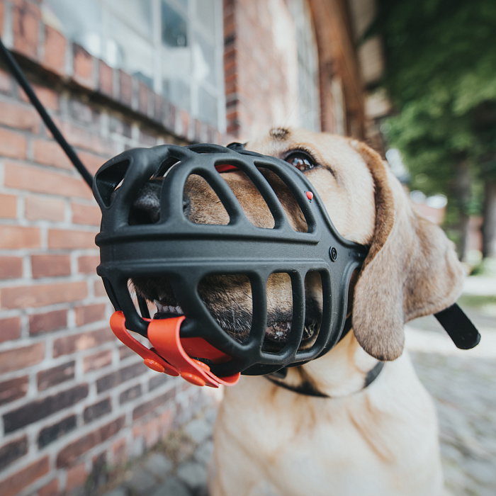 Hunter намордник для собак Albury, размер 4, обхват головы 33 см.