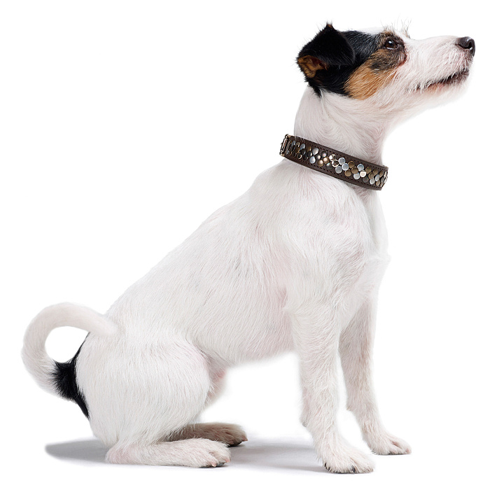 Hunter ошейник для собак Arizona Gr. 32 телячья кожа  24-28,5 см черный СКИДКА 50%