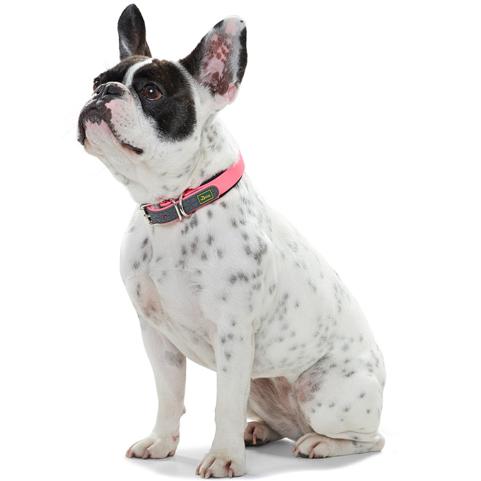 Hunter ошейник для собак Convenience Comfort 55 (42-50 см) / 2,5 см биотановый с мягкой горловиной розовый неон