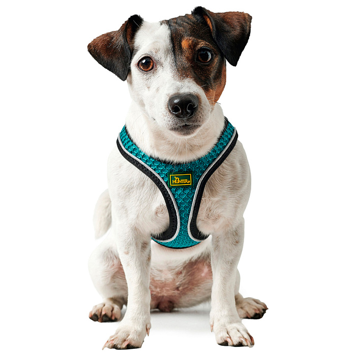Hunter шлейка для собак Hilo Comfort 48-58 см, сетчатый текстиль, бирюзоваяя