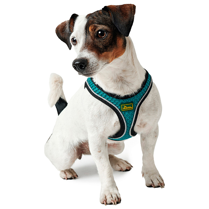 Hunter шлейка для собак Hilo Comfort 48-58 см, сетчатый текстиль, бирюзоваяя