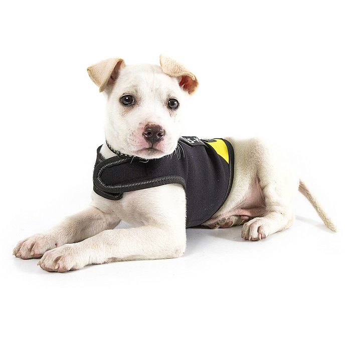 JULIUS-K9 жилет для собак Neoprene IDC® XS (43-53см / длина 33см), черно-желтый СКИДКА 50%