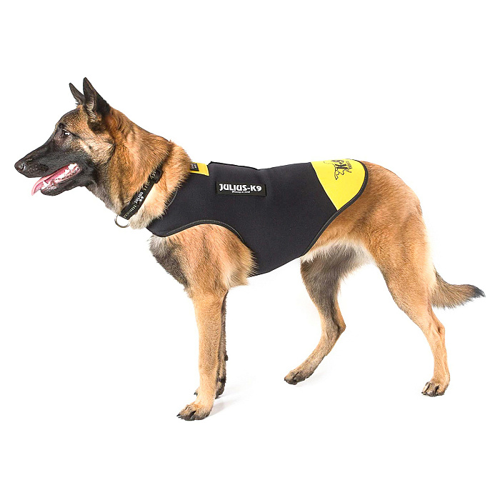 JULIUS-K9 жилет для собак Neoprene IDC® M (60-71см / длина 46,5см), черно-желтый СКИДКА 50%