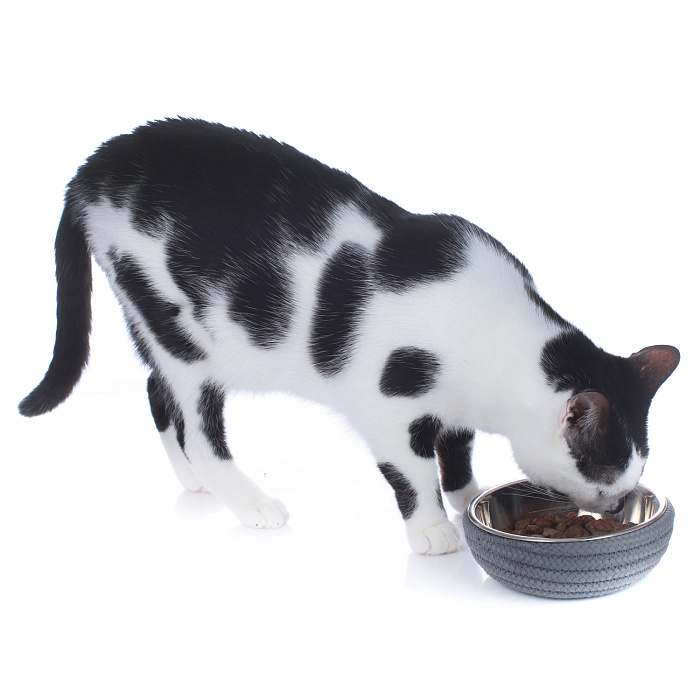 Hunter миска из нержавеющей стали Graz 160 мл, с плетением, антрацит СКИДКА 50%