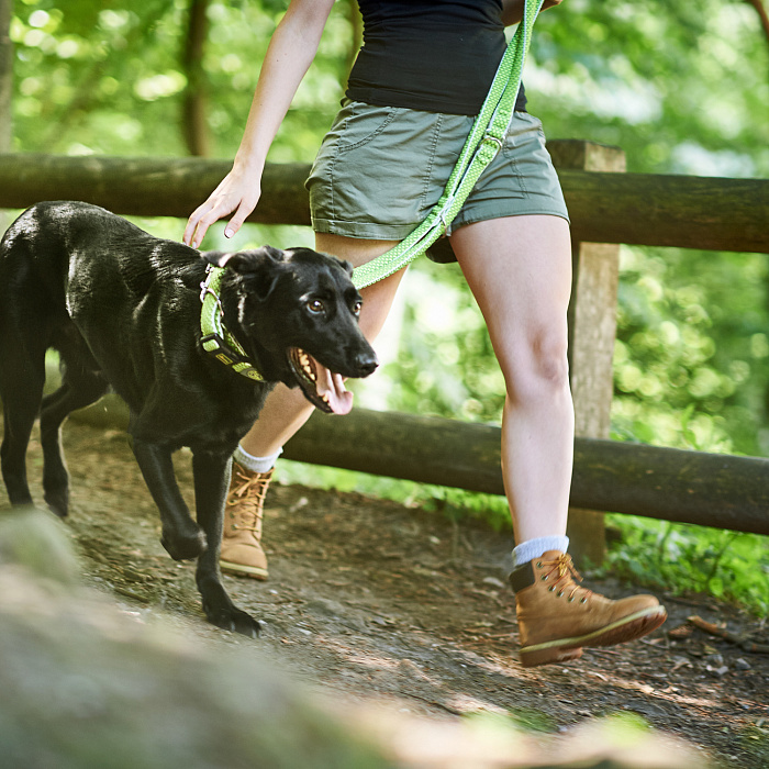 Hunter поводок-перестежка для собак Hilo 20 / 200 нейлон лайм СКИДКА 50%